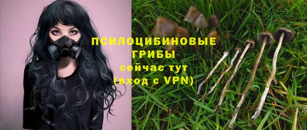 сатива Костерёво