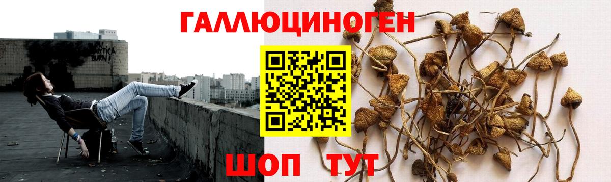 Галлюциногенные грибы мухоморы  Вход с VPN  Фурманов 