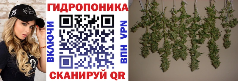 цены   Фурманов  гидра ONION  Конопля ГИДРОПОН 